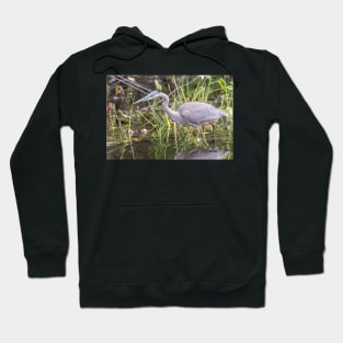 A lone Great Blue Heron Hoodie